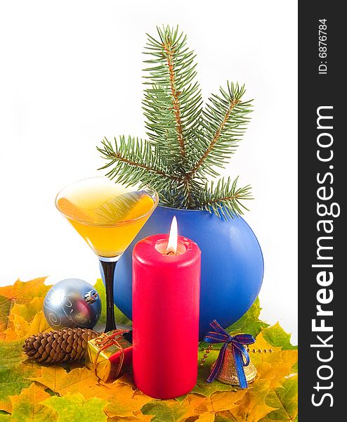 Fur-tree Branch In Dark-blue Vase