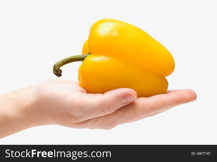 Bright yellow peppers in his hand