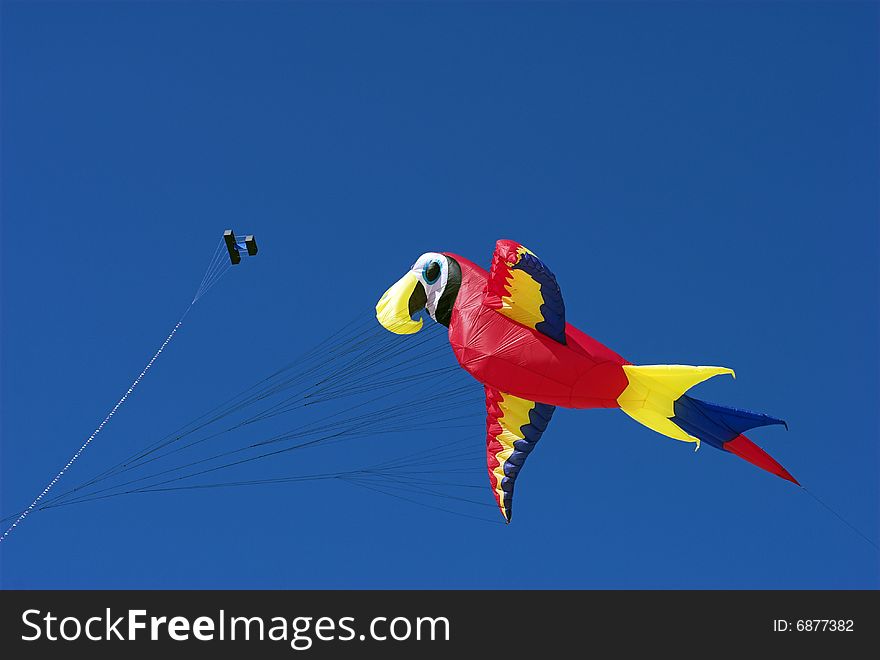 Parrot in the Sky
