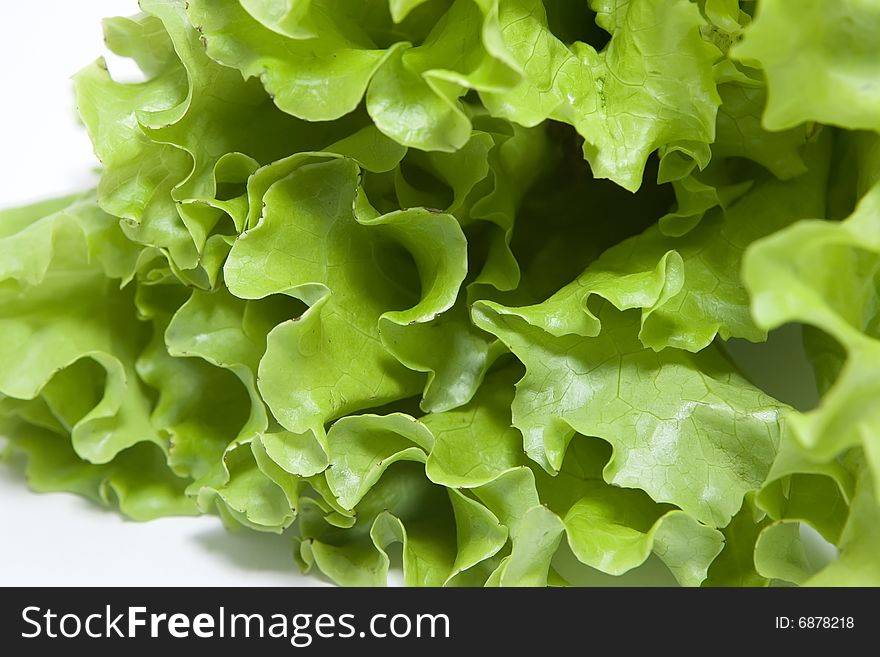 Leaves of green salad on white background