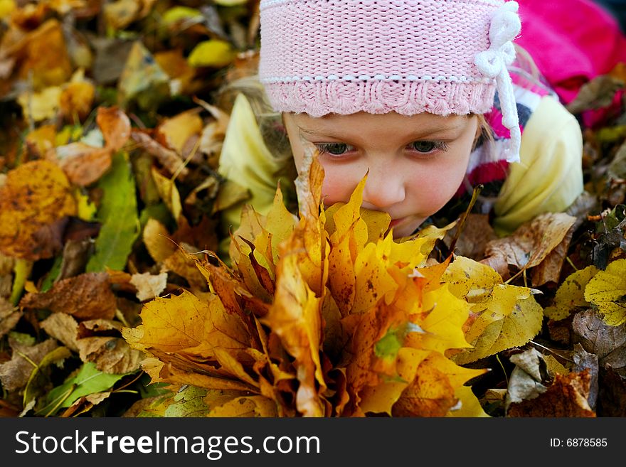 A little girl keeping yellow maple leaves. A little girl keeping yellow maple leaves