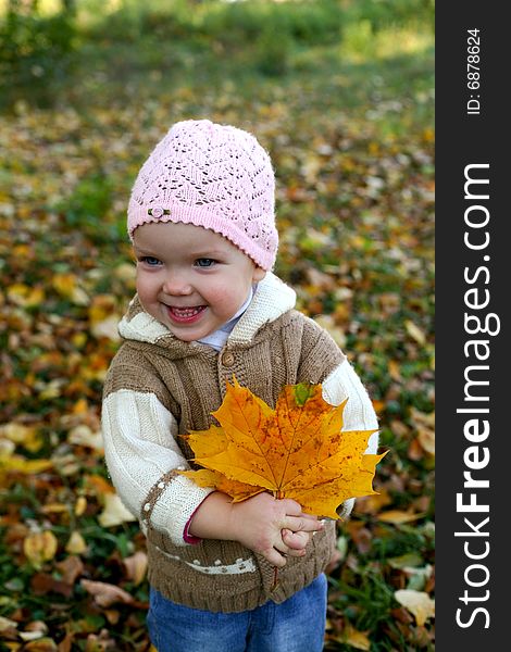 A little girl keeping yellow maple leaves in her hands
