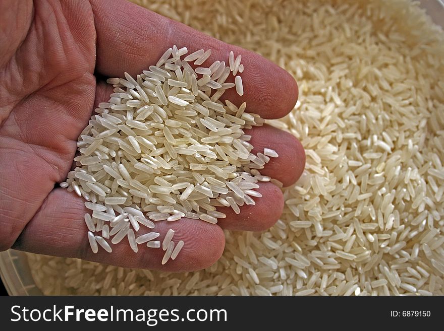 Long classic rice in a hand stock photo