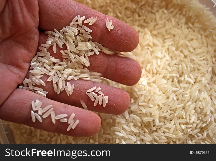 Long classic rice in a hand stock photo