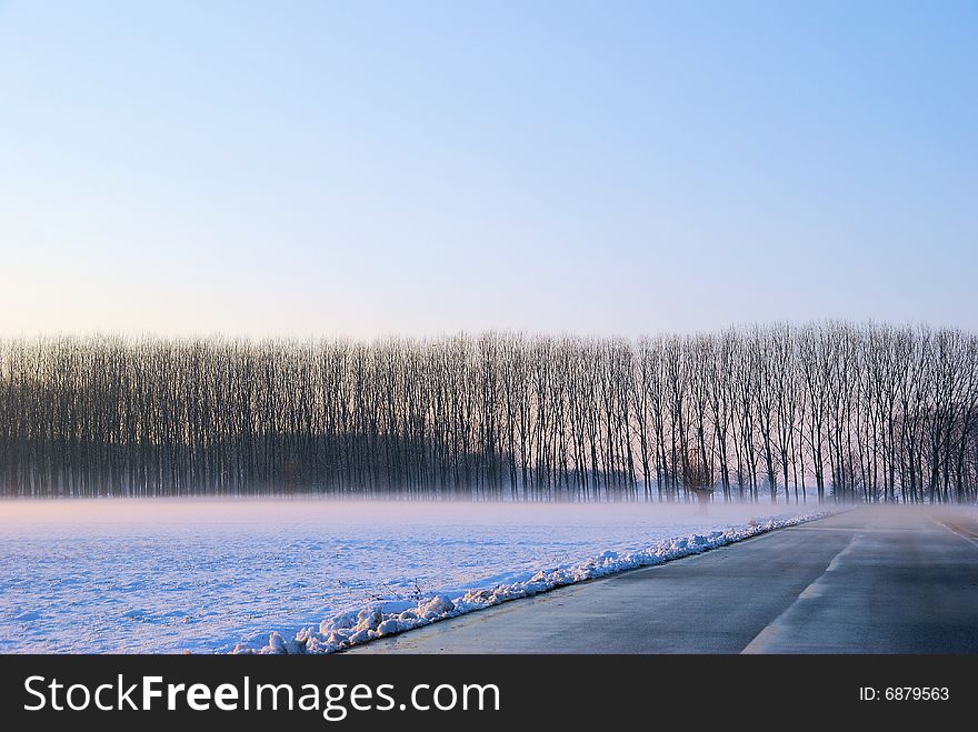 Frozen Countryside