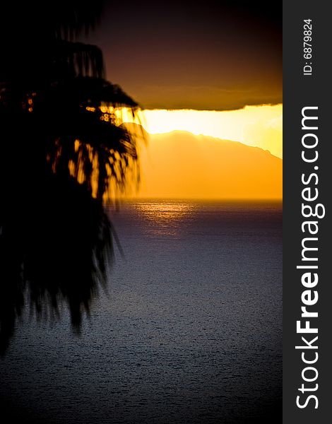 Tropical sunset, palm tree and ocean. Tropical sunset, palm tree and ocean