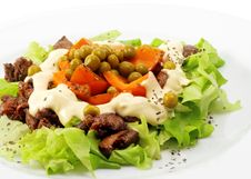 Chicken Salad Stock Photography