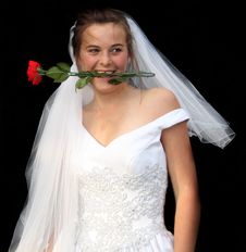 Bride With Rose Stock Photo Bride With Rose Stock Photo