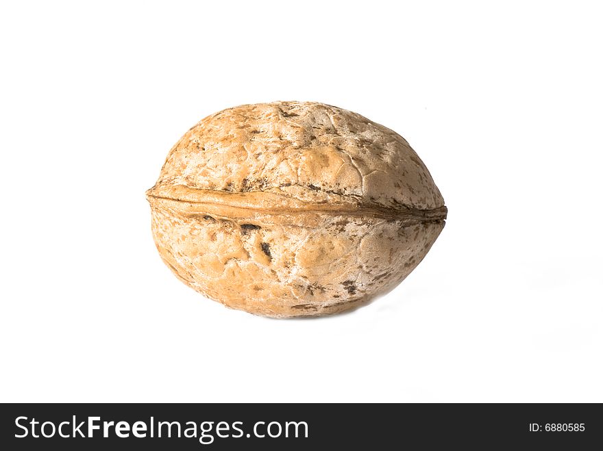 Walnuts in a shell on a white background