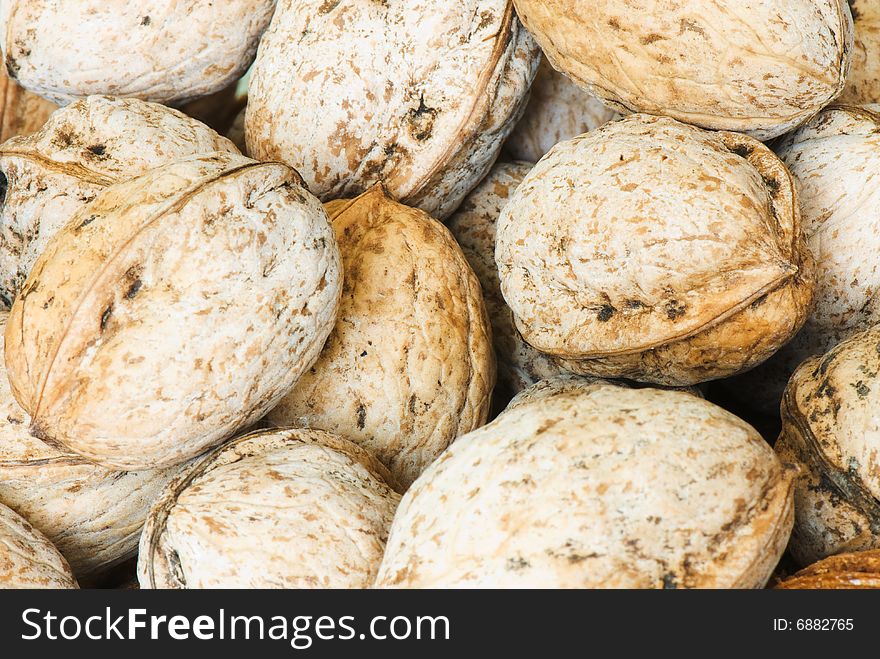 Walnuts in a shell on a white background