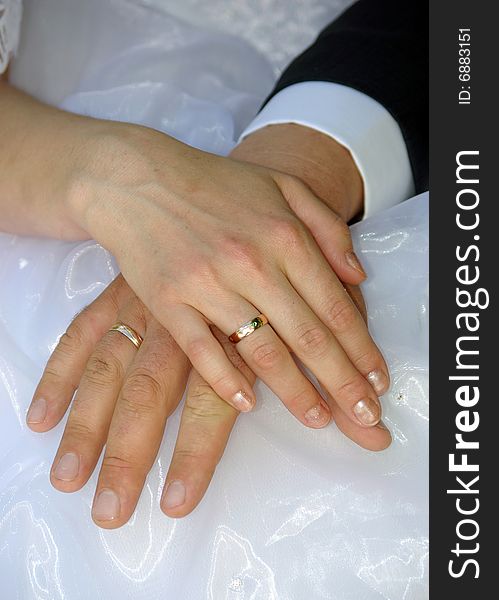 Hands and gold wedding rings.