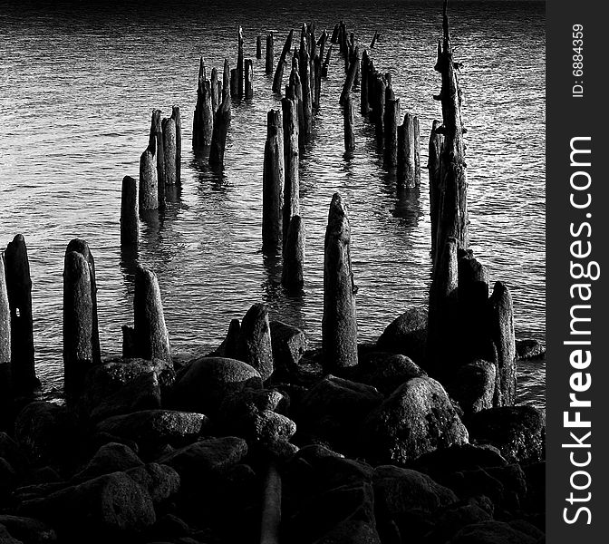 Pilings at Cape Disappointment, Washington