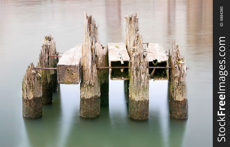 Pilings on the Columbia River in Portland, Oregon