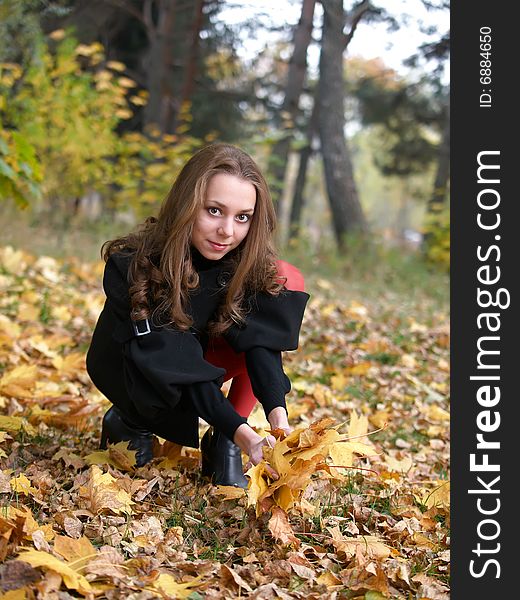 Beauty young girl sits and gathers leaves in autumn forest. Beauty young girl sits and gathers leaves in autumn forest.