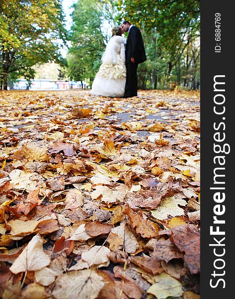 The newly married couple kissing in autumnal park. The newly married couple kissing in autumnal park