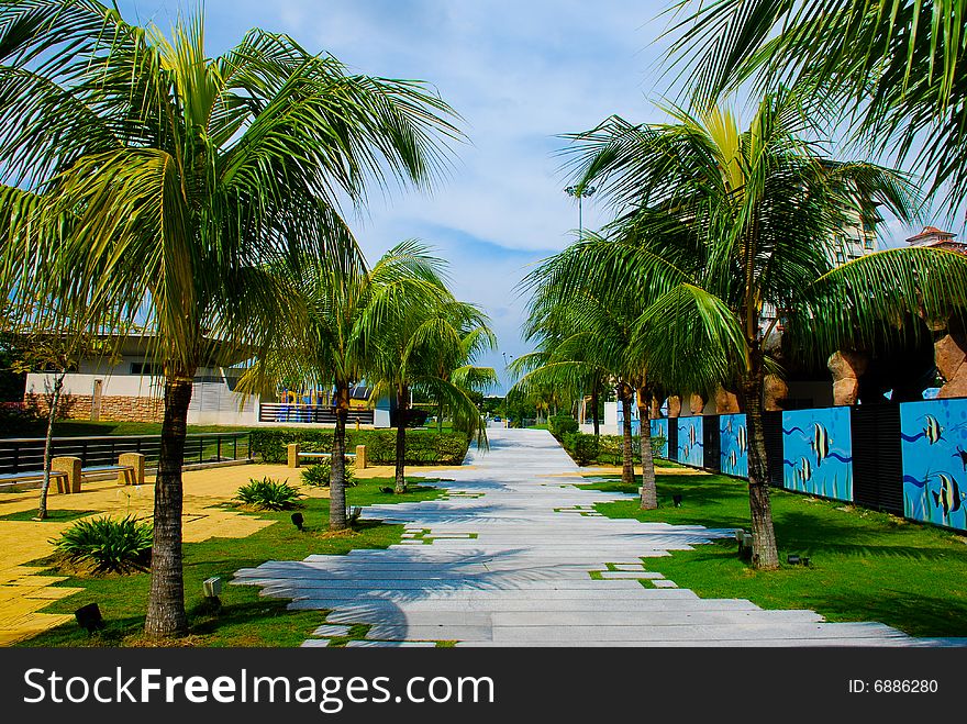 A walkway in in building area lined with palm trees. A walkway in in building area lined with palm trees