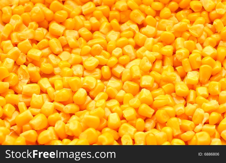 Close up of the corn seeds for the background