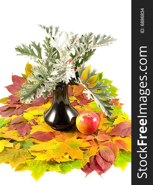 Carpet from beautiful autumn leaves with red apple in black vase on white background. Carpet from beautiful autumn leaves with red apple in black vase on white background