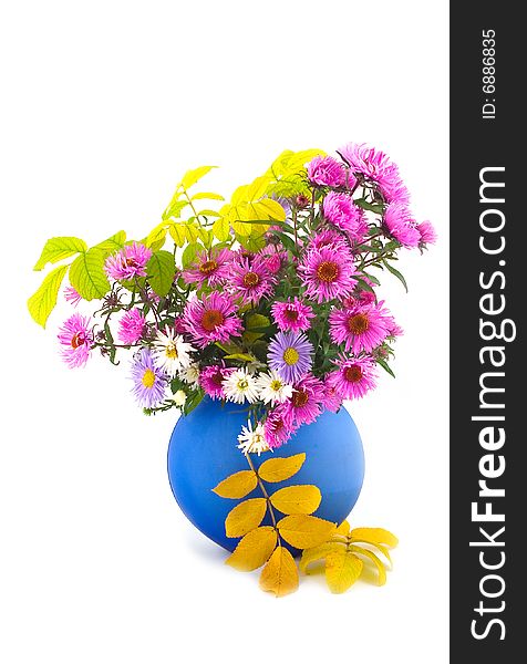 Bouquet of autumn colors in blue ceramic beautiful vase with yellow leaves on white background. Bouquet of autumn colors in blue ceramic beautiful vase with yellow leaves on white background