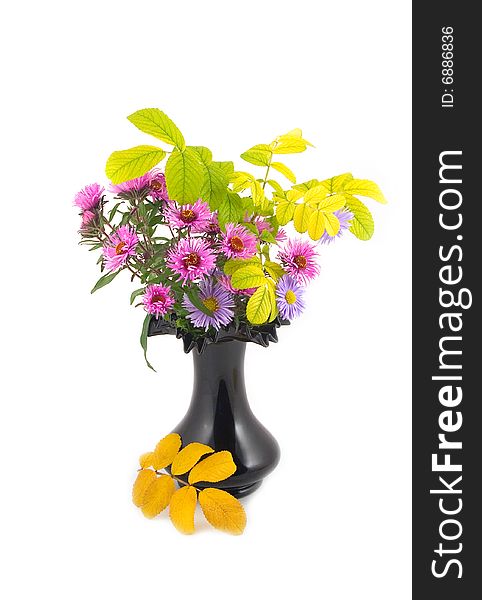 Bouquet of autumn colors in black ceramic beautiful vase with yellow leaves on white background. Bouquet of autumn colors in black ceramic beautiful vase with yellow leaves on white background