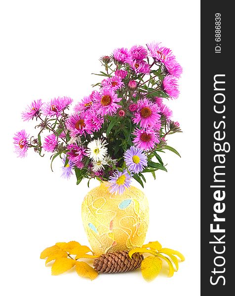 Bouquet colors in yellow ceramic beautiful vase with autumn leaves on white background. Bouquet colors in yellow ceramic beautiful vase with autumn leaves on white background