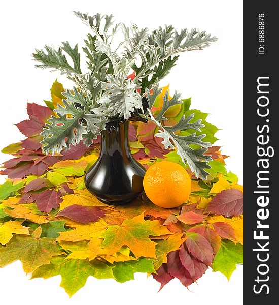 Carpet from beautiful autumn leaves with beautiful round orange in black vase on white background. Carpet from beautiful autumn leaves with beautiful round orange in black vase on white background