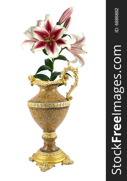 Flower of east lily in yellow ancient vase