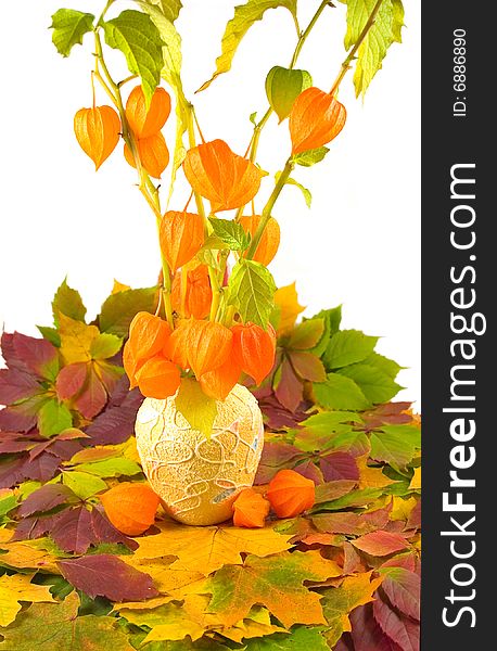 Orange flowers with fruits ?ë¨±à ¯n carpet from beautiful autumn leaves in yellow vase on white background. Orange flowers with fruits ?ë¨±à ¯n carpet from beautiful autumn leaves in yellow vase on white background