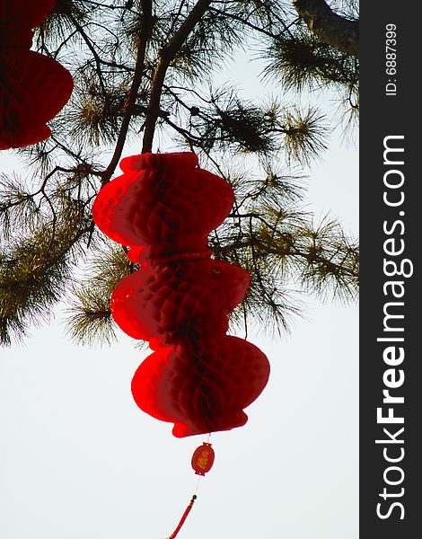 Chinese style,red lantern on the tree