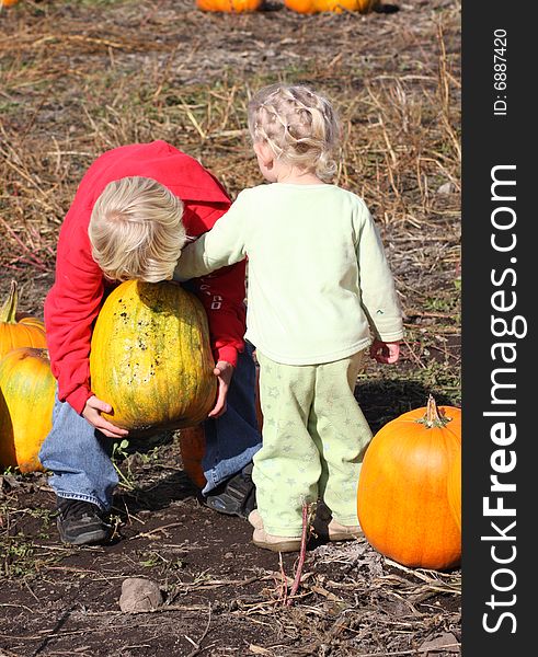 Young girl and young boy picking out a pumpkin. Young girl and young boy picking out a pumpkin