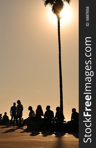 Silhouette of skaters at the beach