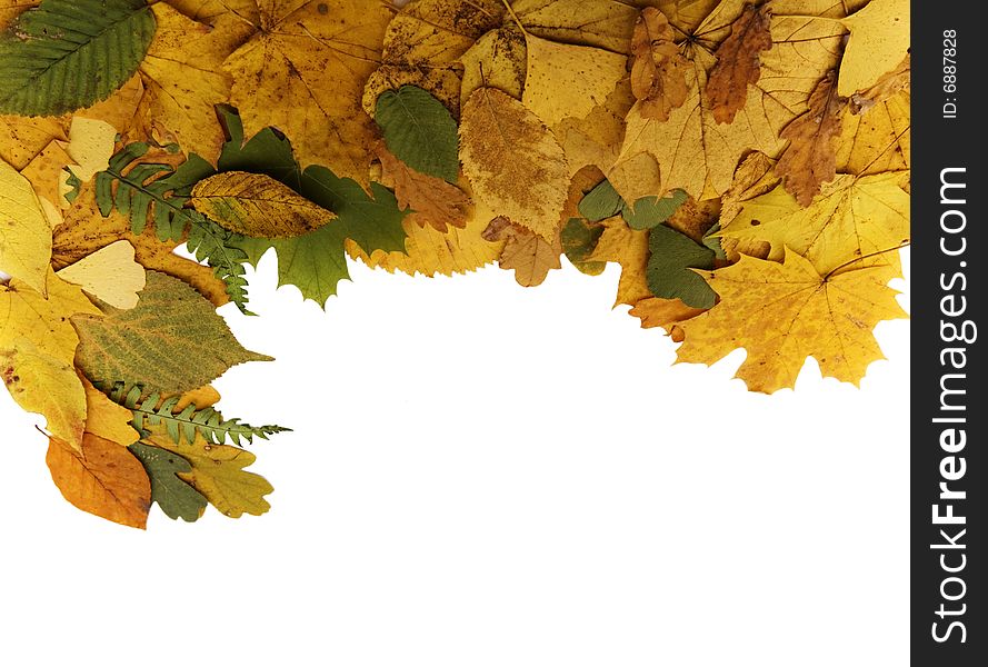 Autumn frame made of colorful leaves