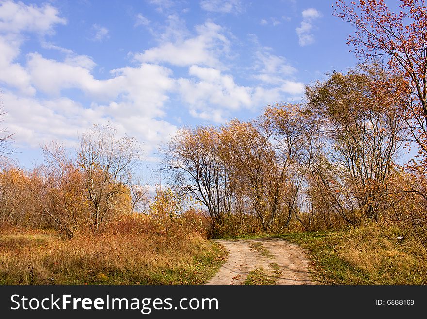 The road in the autumn woods. The road in the autumn woods