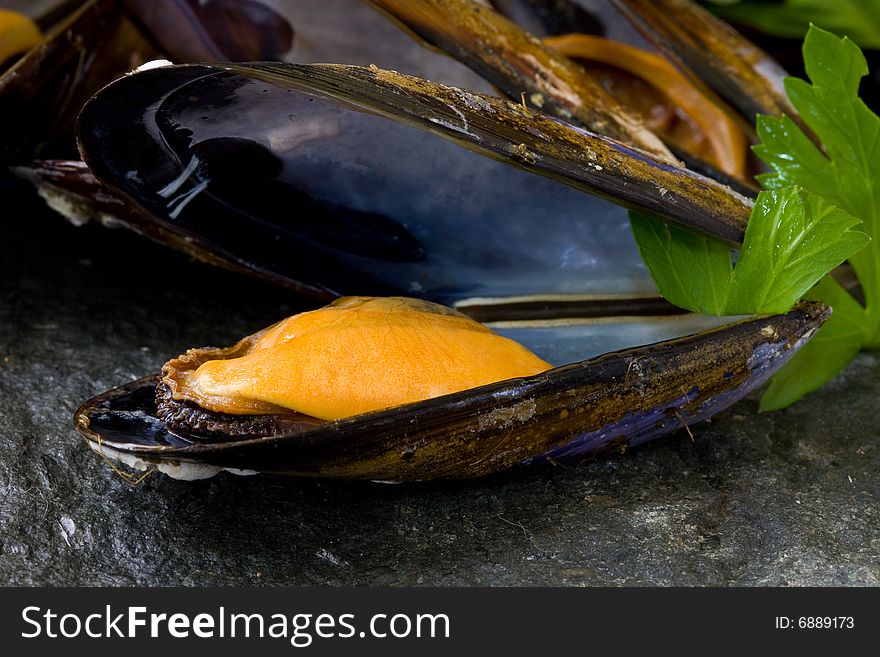 Fresh mussels boiled with parsley on grey stone platter