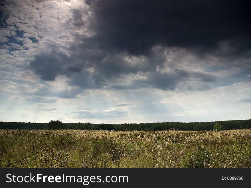 Before the storm. City park in Moscow. Russia