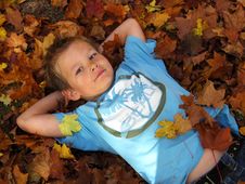 Autumn Stock Image Autumn Stock Image