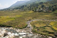 Rice Terraces On A River Valley 2 Royalty Free Stock Photo