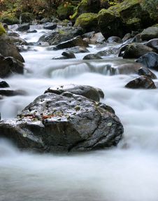 Cool Clear Creek Royalty Free Stock Images Cool Clear Creek Royalty Free Stock Images