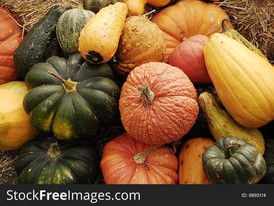 Autumn harvest of pumpkins and gourds at market.