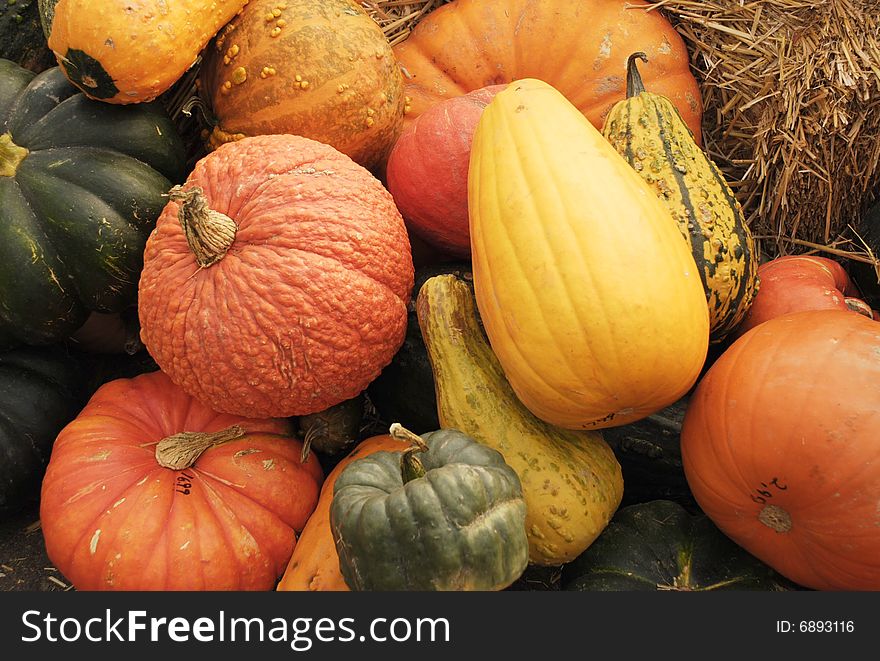 Autumn harvest of pumpkins and gourds at market.