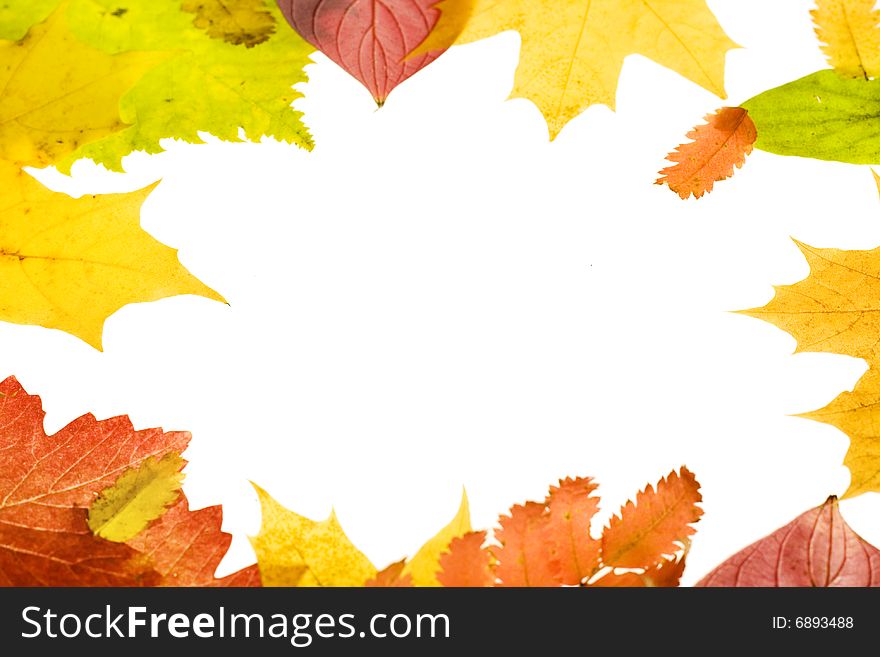 Autumn leaves frame  isolated on white background