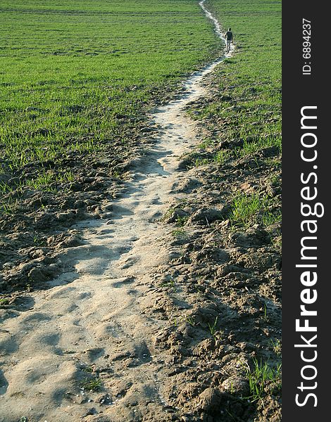 Nature field path, small figure in background,. Nature field path, small figure in background,