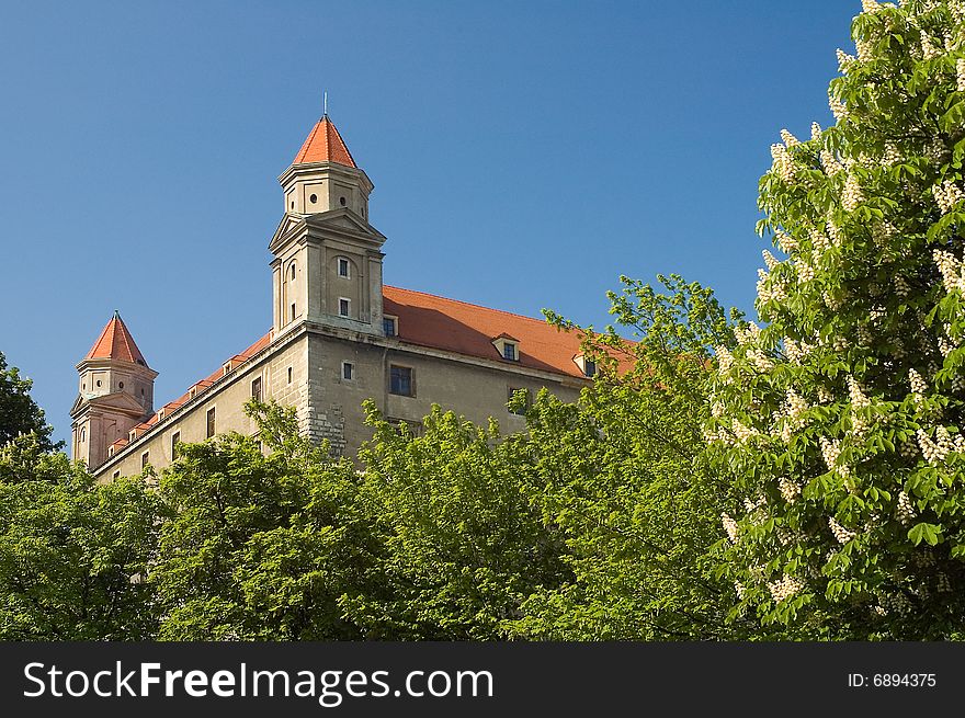 Detail photo of bratislava castle, trees in foreground