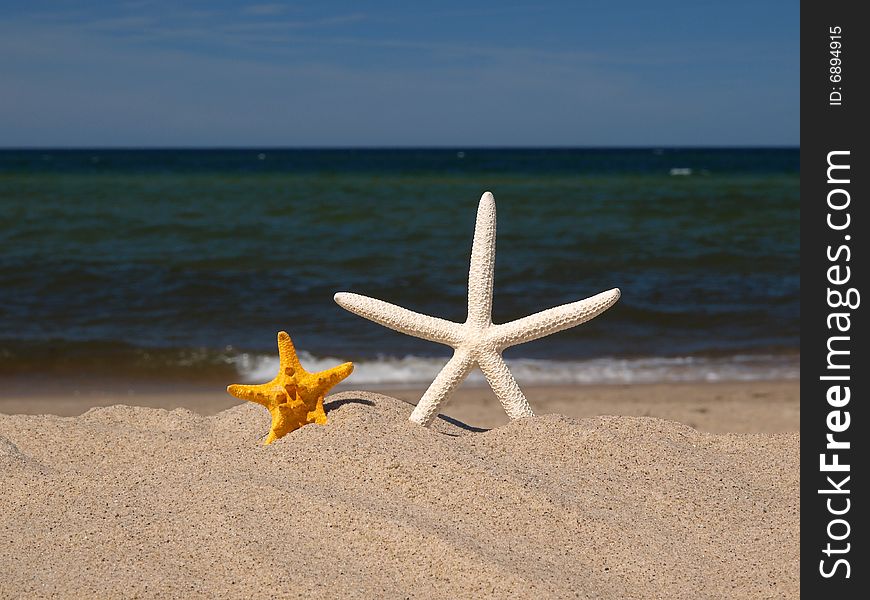 I have found two starfishes on the beach