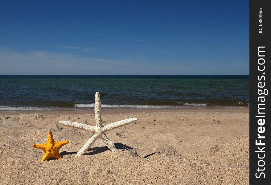 Summer with two starfishes on the beach. Summer with two starfishes on the beach