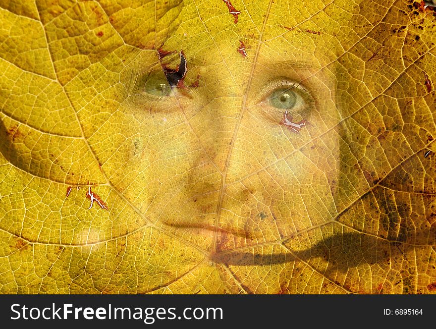 Face of woman seen through leaf. Face of woman seen through leaf