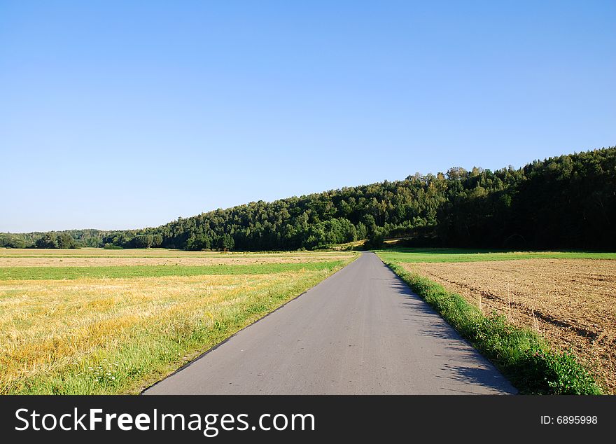 Rural country road. trees and sky