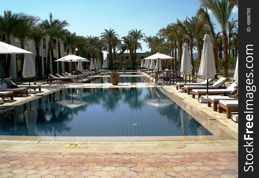 Swimming pool in reef oasis sharm el sheik with palms