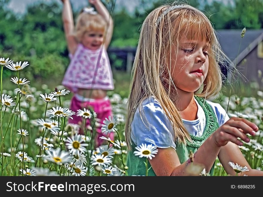 Children in a field of wild daisies. Children in a field of wild daisies.