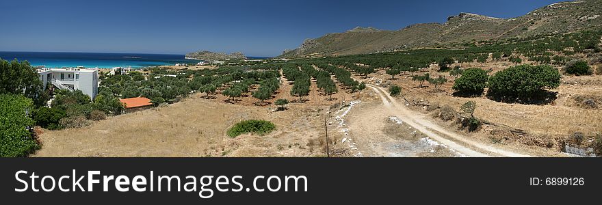 Panoramic views of traditional Greek orchard. Panoramic views of traditional Greek orchard.